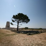 Lone Pine Memorial - Gallipoli